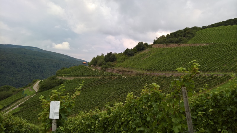 files/public/abteilungen/Abteilung Wandern/2017Wanderung3.jpg