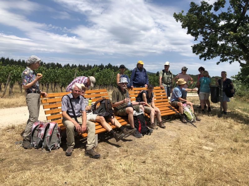 files/public/abteilungen/Abteilung Wandern/Wandern 2019/Klostersteig 6.7.19 2a.jpg
