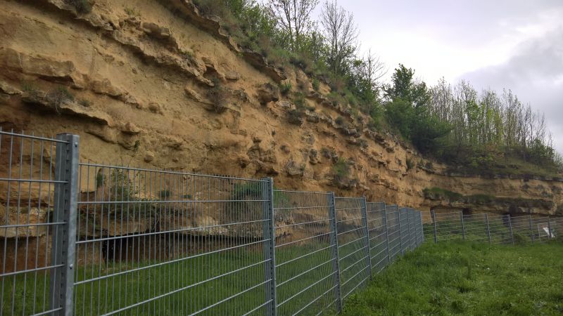 files/public/abteilungen/Abteilung Wandern/Wandern 2019/Weinsheim 1a.jpg