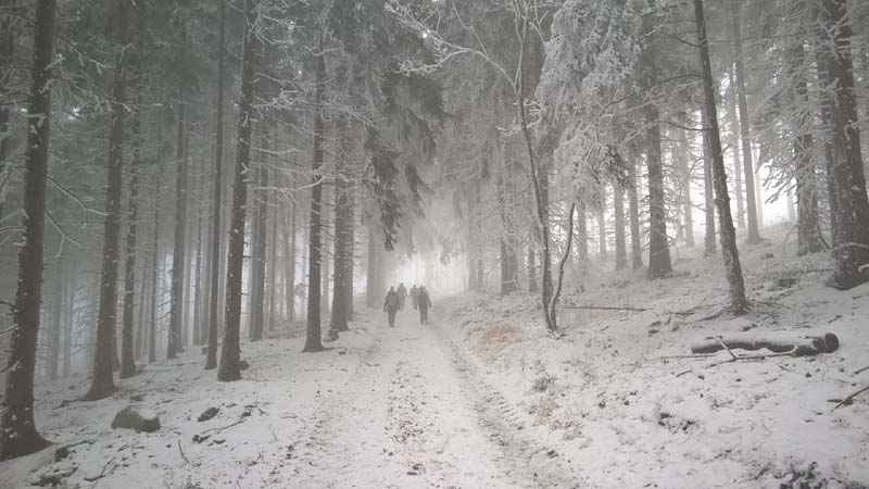 files/public/abteilungen/Abteilung Wandern/Wanderung Lauschhuette 0117a.jpg