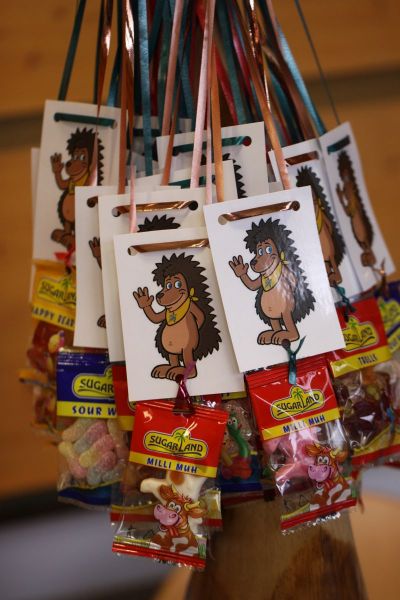 files/public/abteilungen/Gruppe Kindersport/Fastnacht 2018 1.JPG